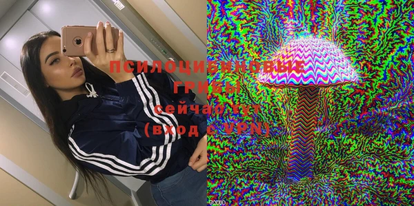 2c-b Богородицк