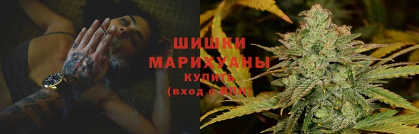 spice Богданович