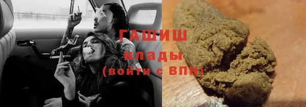 spice Богданович