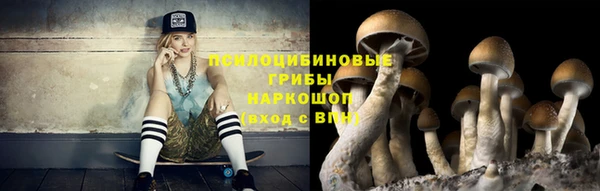 2c-b Богородицк
