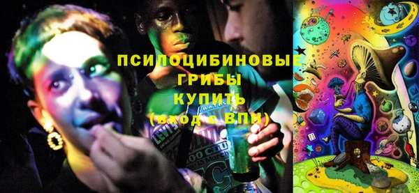 2c-b Богородицк