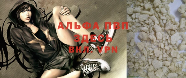 spice Богданович