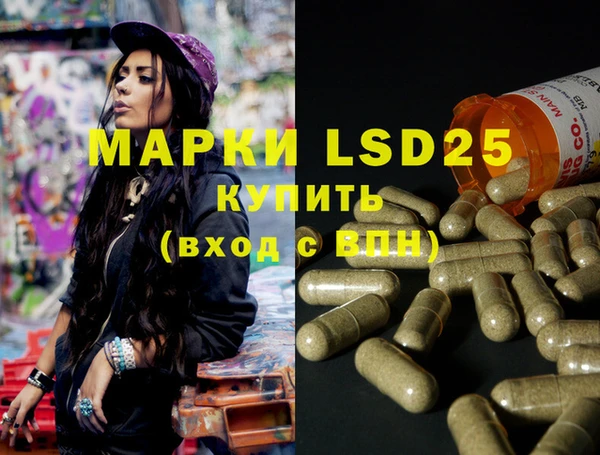spice Богданович