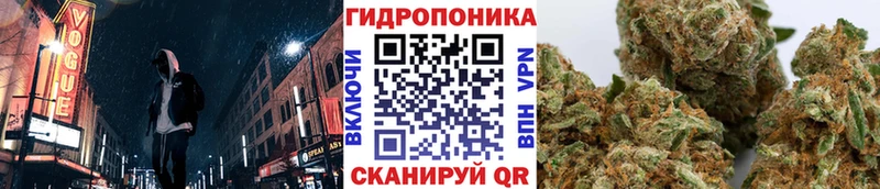 продажа наркотиков  Шали  Бошки Шишки LSD WEED 
